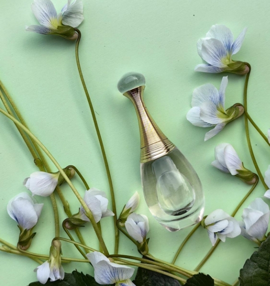 Dior's J'Adore Dupe Perfume