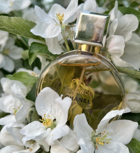 Die besten Chanel Chance Dupe Alternativen: Eleganter Duft zum kleinen Preis 1 chance chanel perfume dupe
