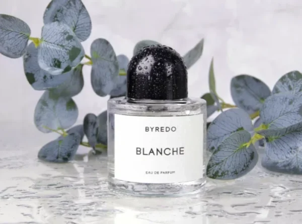 How to: Das perfekte Byredo Blanche Dupe finden – Ein Laborbericht über langanhaltende "Frische Wäsche" Parfums 4 Vergleich der Kostenstruktur: Traditionelles Luxusparfum vs. hochwertige Extrait de Parfum Alternative