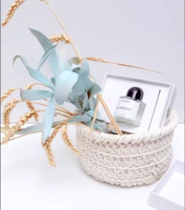 Langanhaltendes Byredo Blanche Dupe im Labor-Vergleich für den perfekten Clean Girl Aesthetic Vibe