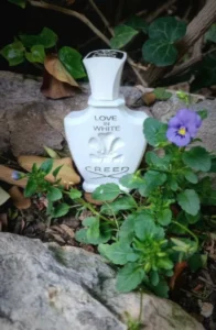 Direkter Vergleich: Traditionelles Nischenparfüm Love in White neben einer hochwertigen Extrait Parfüm Zwilling Alternative.