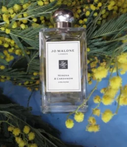 How to: Das beste Mimosa & Cardamom Dupe finden – Insider-Wissen aus der Parfum-Herstellung & Perfektes Layering 1 Vergleich zwischen einem teuren Luxusparfum und einem hochwertigen Mimosa und Cardamom Dupe mit Extrait de Parfum Konzentration