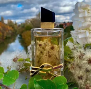 Kostenstruktur und Inhaltsstoffe: Luxusparfüm vs. Manufaktur Lavendel-Vanille Alternative